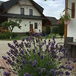 Dom Rodziny Sojkow לינה וארוחת בוקר 3*