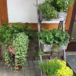 فندق مبيت وإفطار Dom Rodziny Sojkow