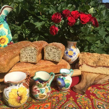 Bed and breakfast Dom Rodziny Sojków 3*