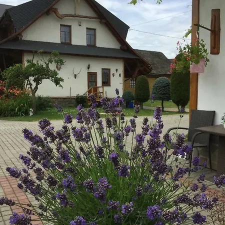 Dom Rodziny Sojków Bed and breakfast 3*