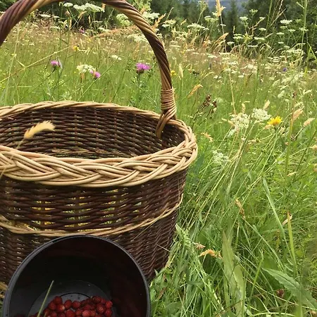 Dom Rodziny Sojków Białka Tatrzańska